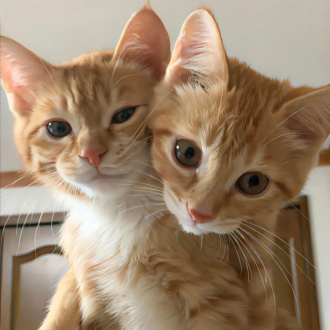 黑山白水画中游