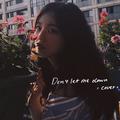 Don't Let Me Down (Cover)