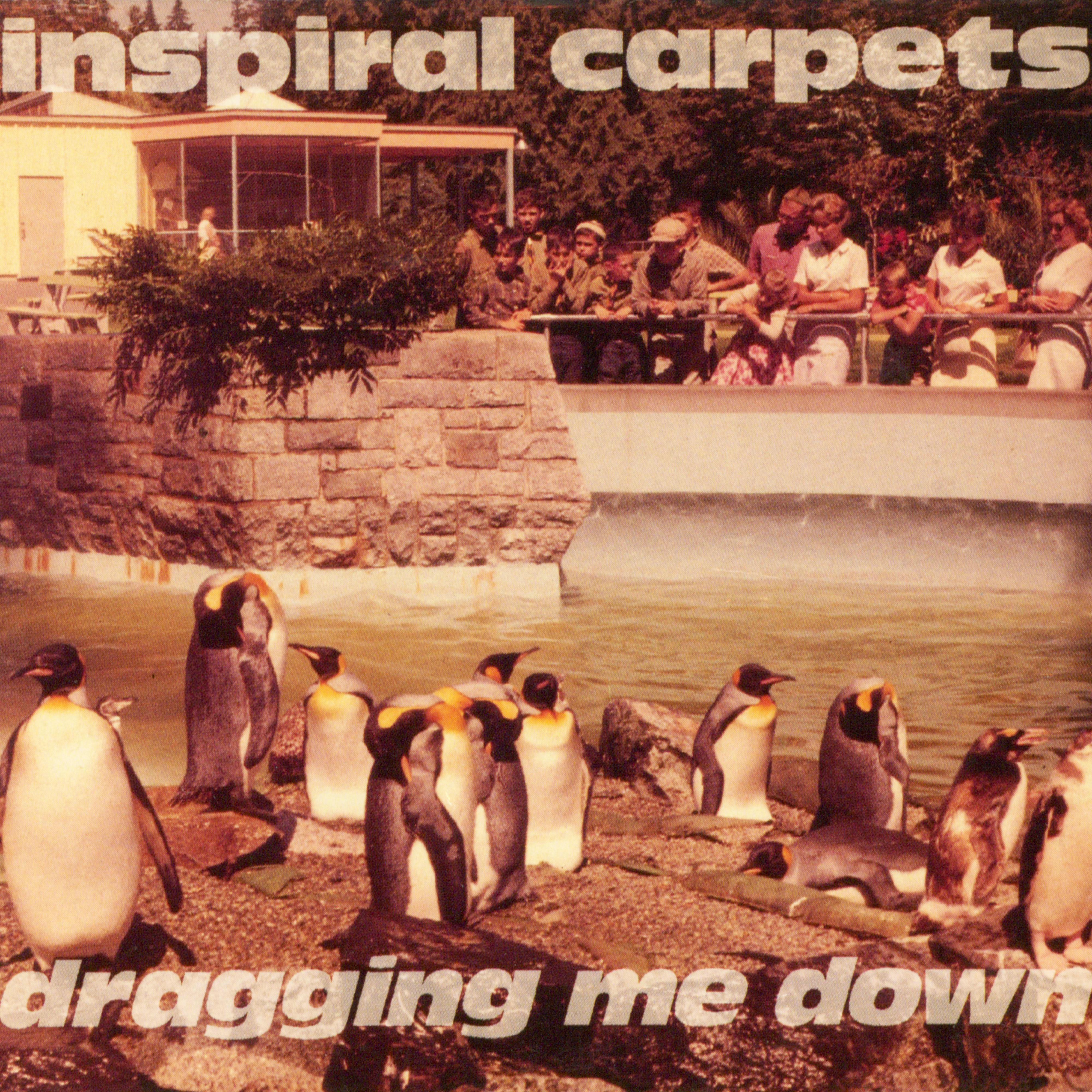Inspiral Carpets The Singles 1995 Cd Discogs