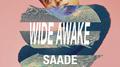 Wide Awake (feat. Gustaf Norén)专辑