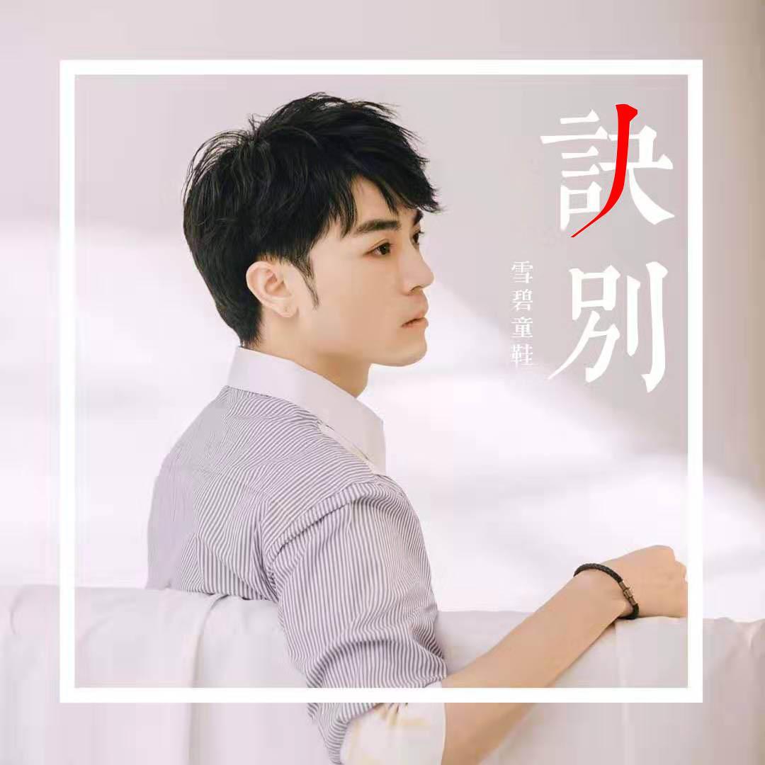 诀别(dj沈念版伴奏)