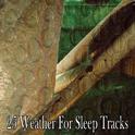 25 Weather For Sleep Tracks专辑