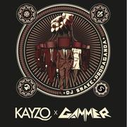 Propaganda (Gammer & Kayzo Edit)