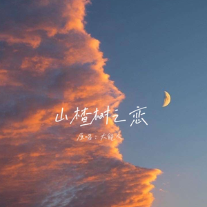 王莱 江美丽 - 梦渡人生(原版伴奏) （升7半音）