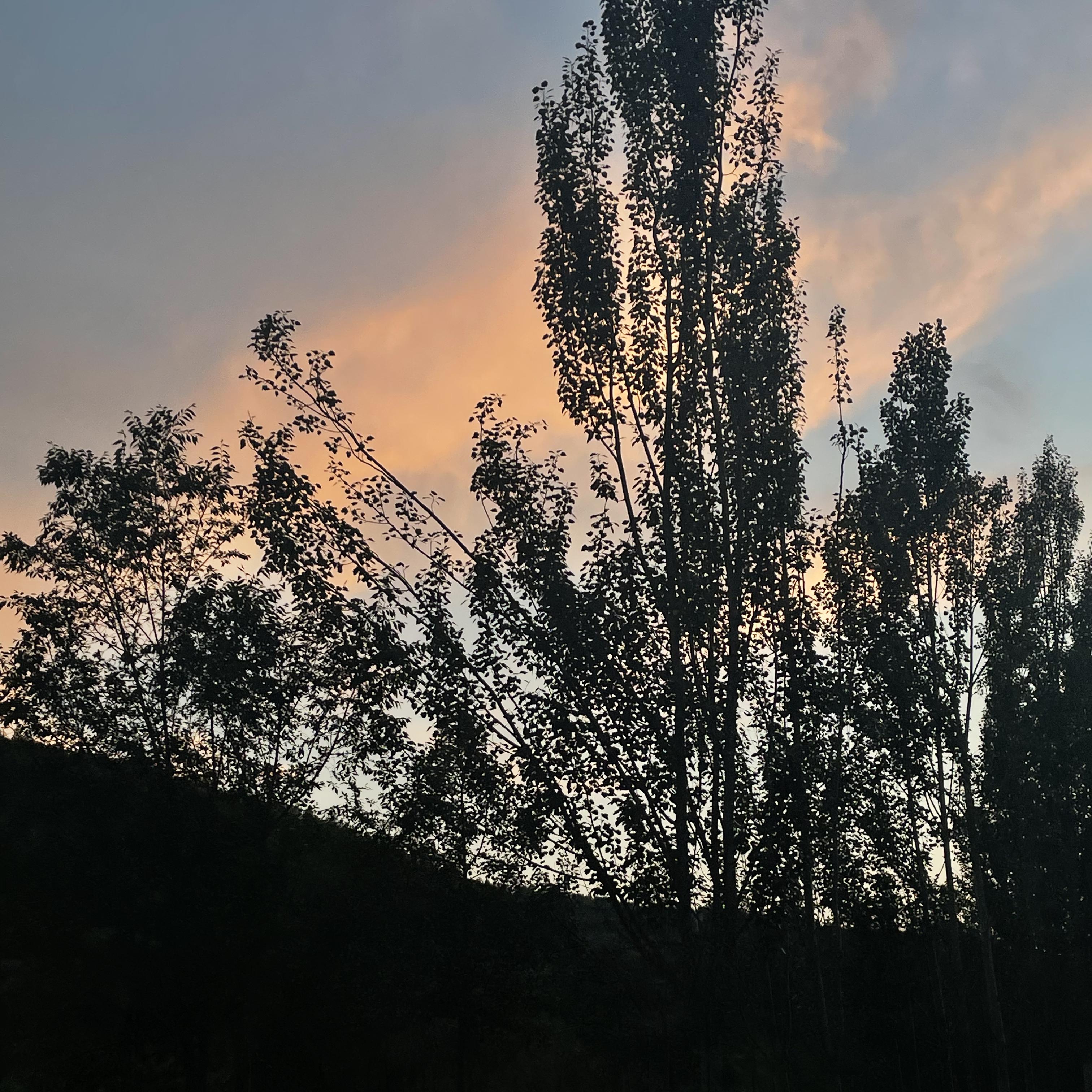 草堆与野花