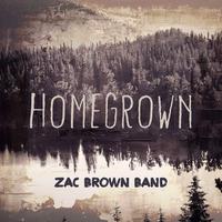 原版伴奏 Homegrown - Zac Brown Band (karaoke)