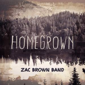 Homegrown - Zac Brown Band (TKS karaoke) 带和声伴奏 （降8半音）