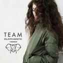 Team (Elephante Remix)专辑