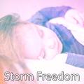 Storm Freedom