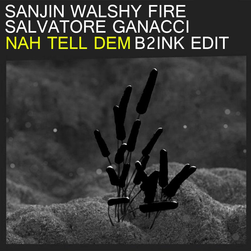 Nah Tell Dem (B2INK Edit)专辑