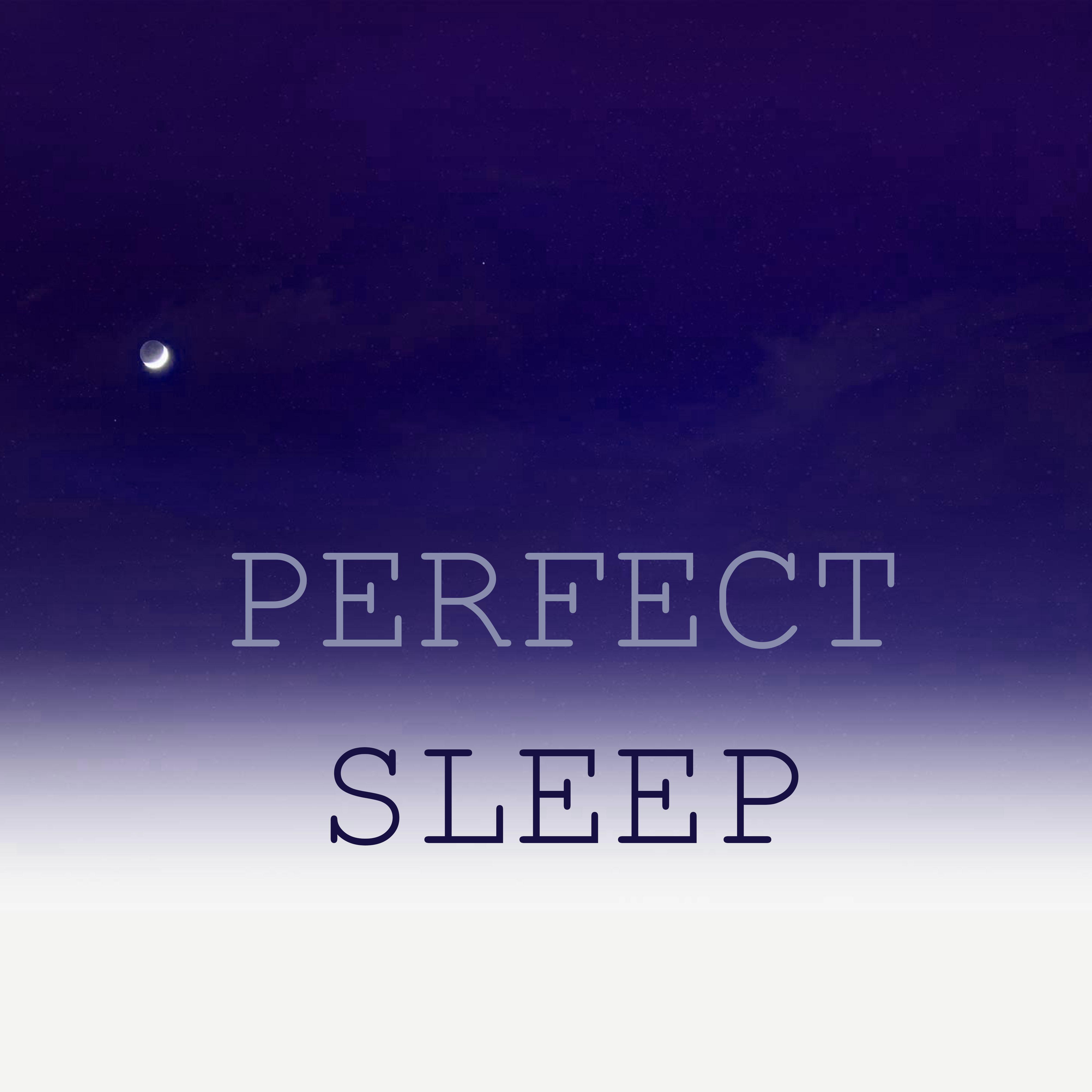 Perfect Sleep - The Best Night of Sleep You Will Ever Experience专辑