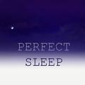 Perfect Sleep - The Best Night of Sleep You Will Ever Experience