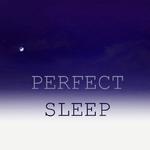 Perfect Sleep - The Best Night of Sleep You Will Ever Experience专辑