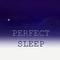 Perfect Sleep - The Best Night of Sleep You Will Ever Experience专辑