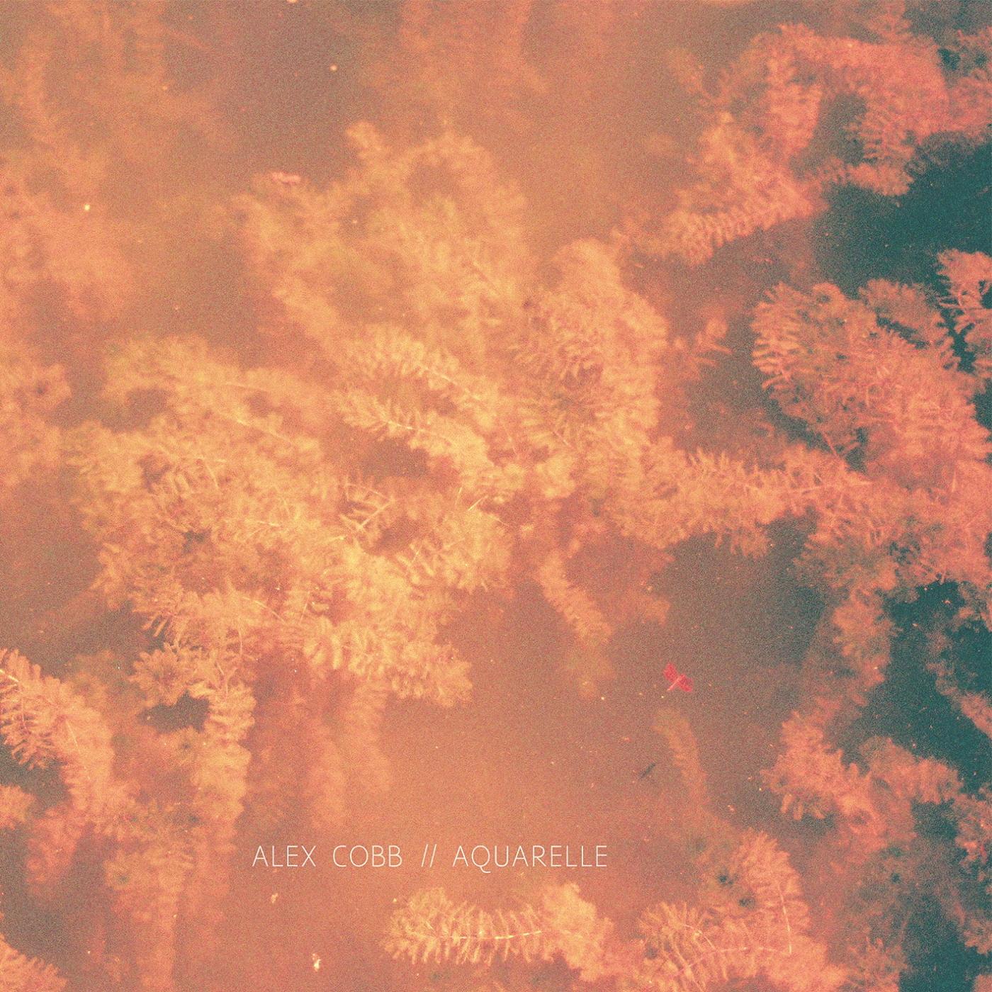 Alex Cobb / Aquarelle - Split LP