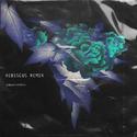 芙蓉Hibiscus(Single Remix Version)