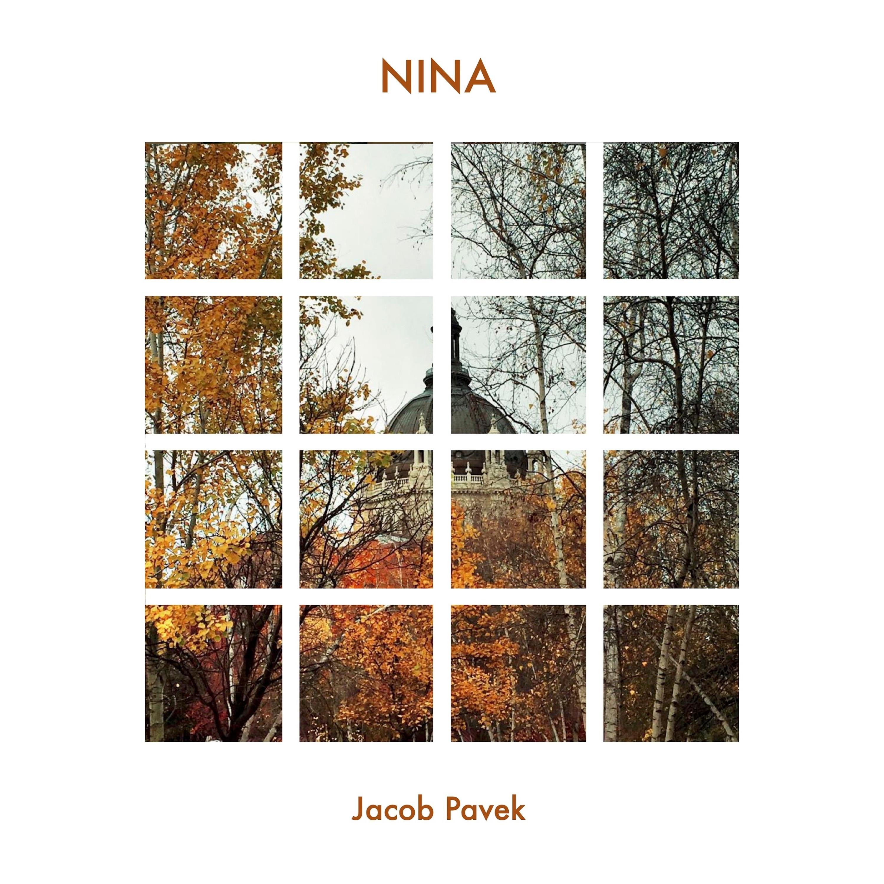 NINA