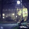 从未路过的巷灯