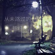 从未路过的巷灯