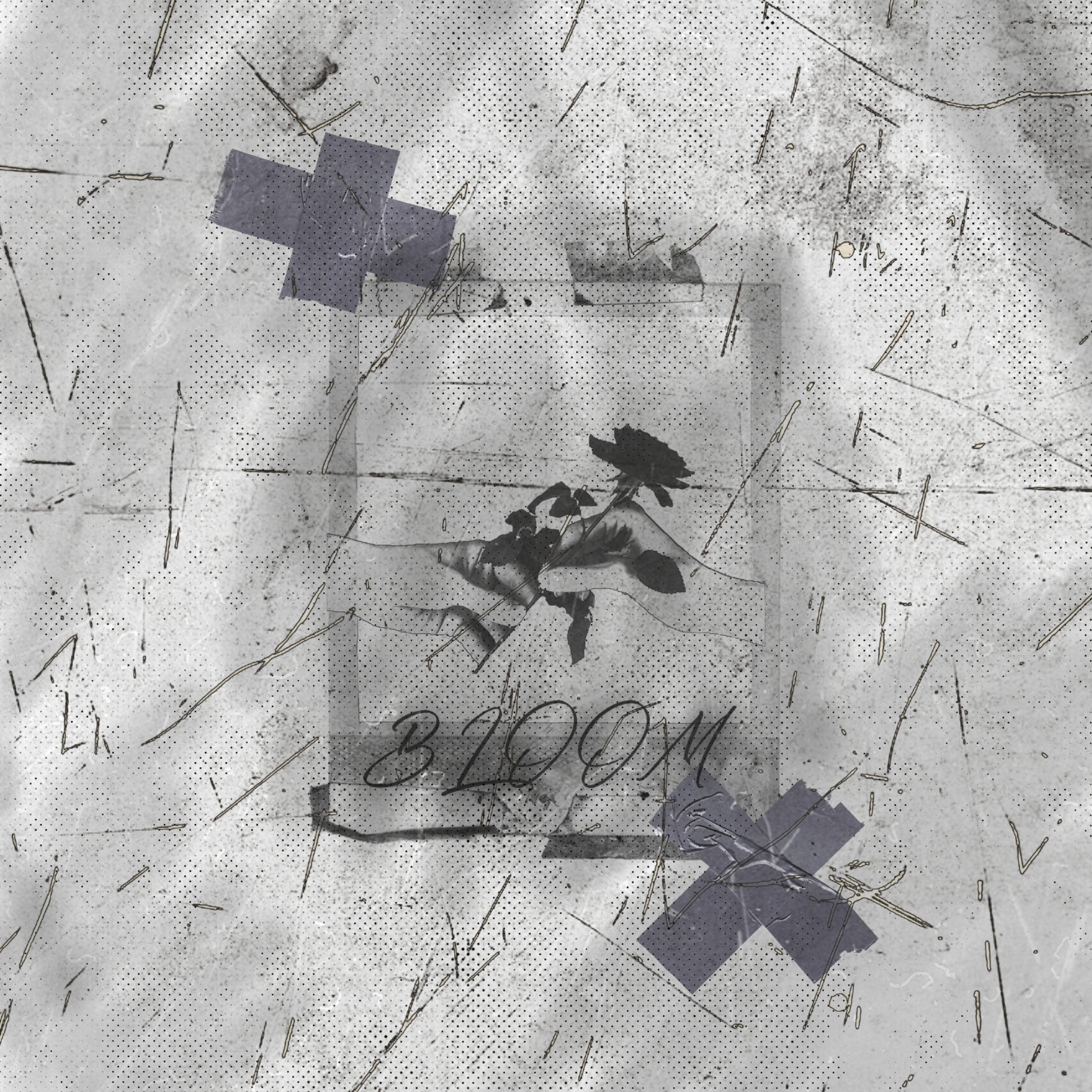 Bloom