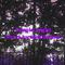 Purple night（Prod by KiRichard）专辑