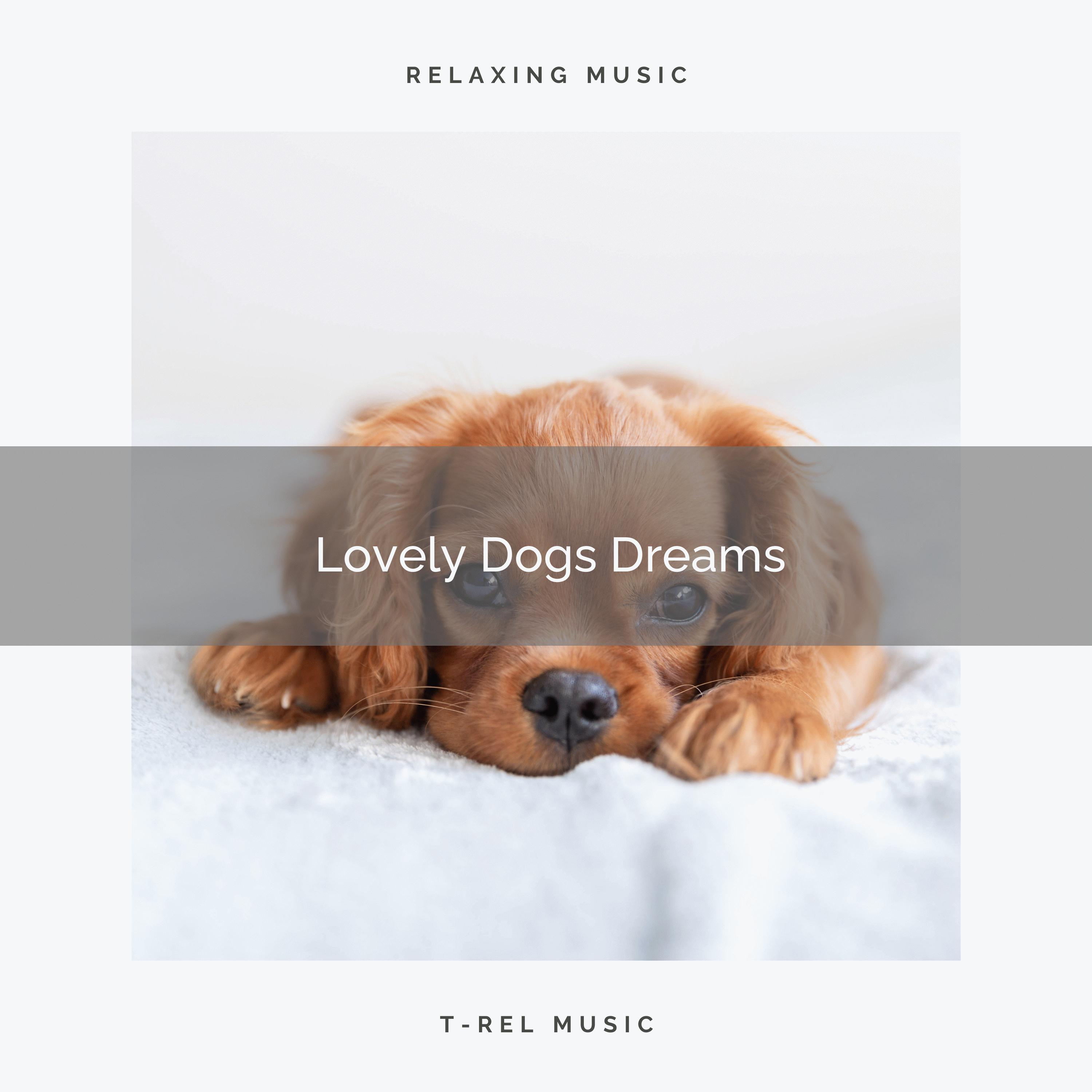 Relaxing Dog Music - Relax Puppy