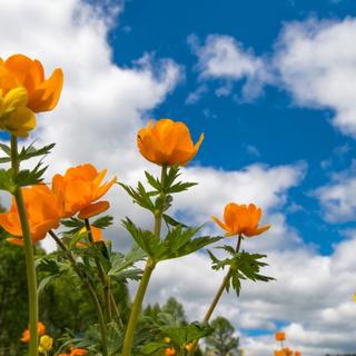 spring feeling