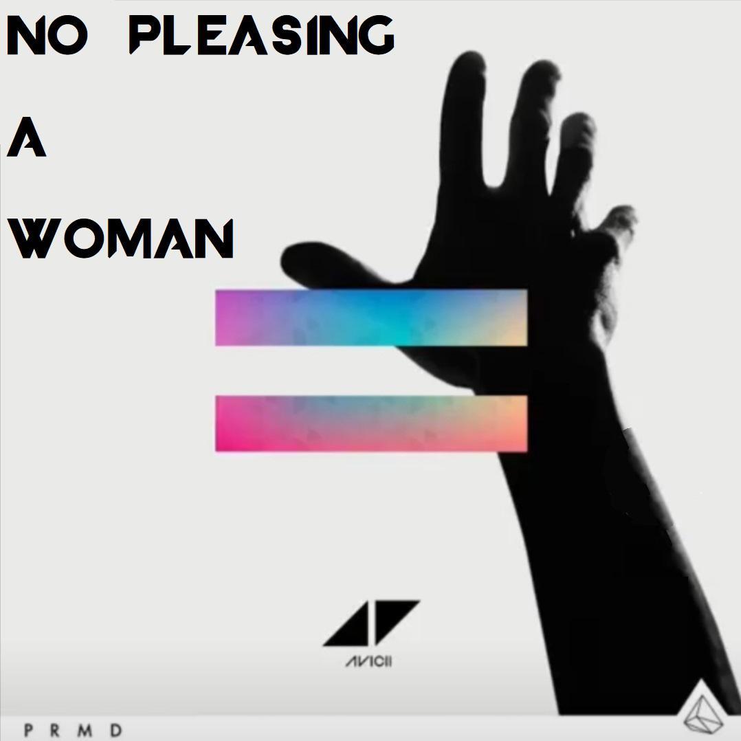 树新风的ZOO-Avicii - No Pleasing A Woman (Tim's Vocal Remake)（Atfort / Rebirth / Avicii remix）
