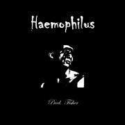 【BEATS】Haemophilus