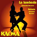 La Lambada (Extended Version)专辑