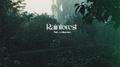 Rainforest专辑