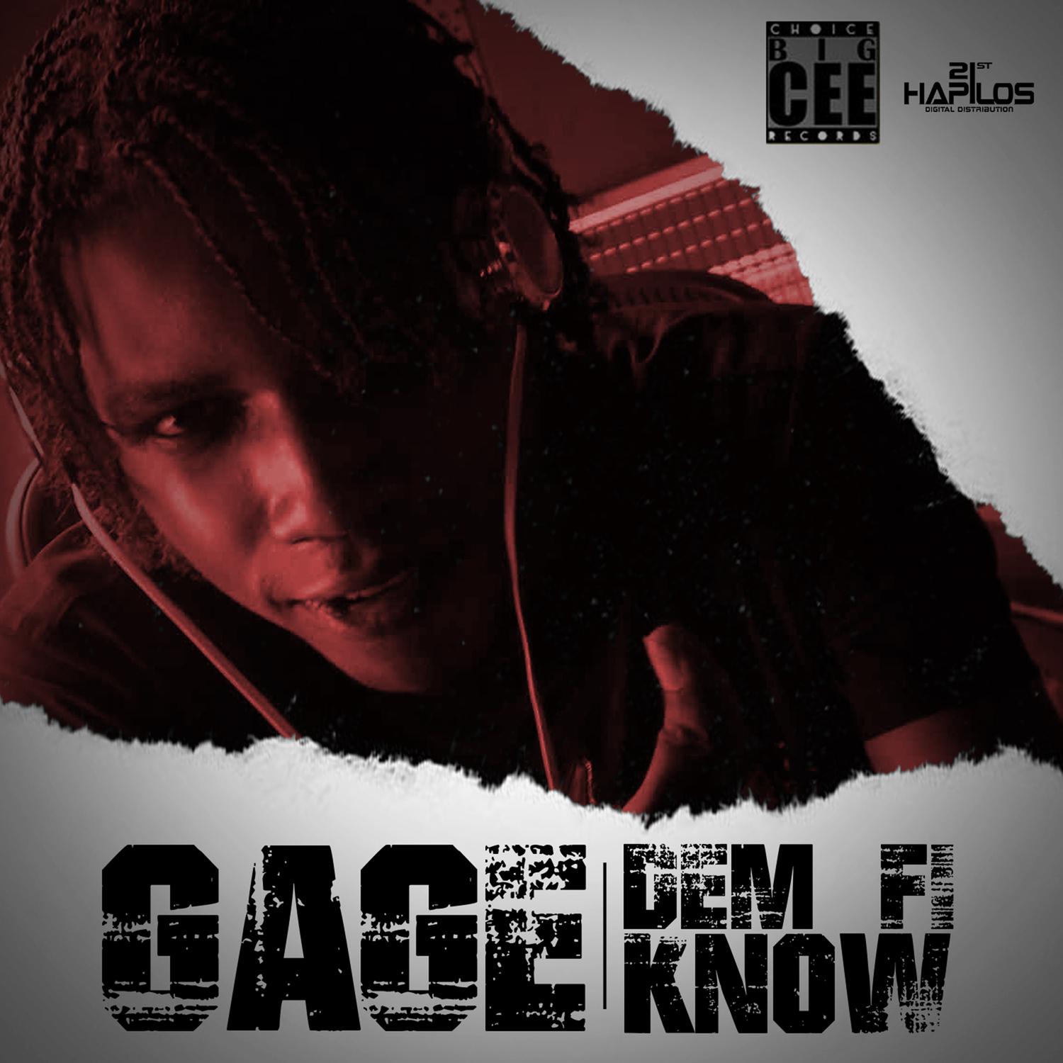 Dem Fi Know - Single