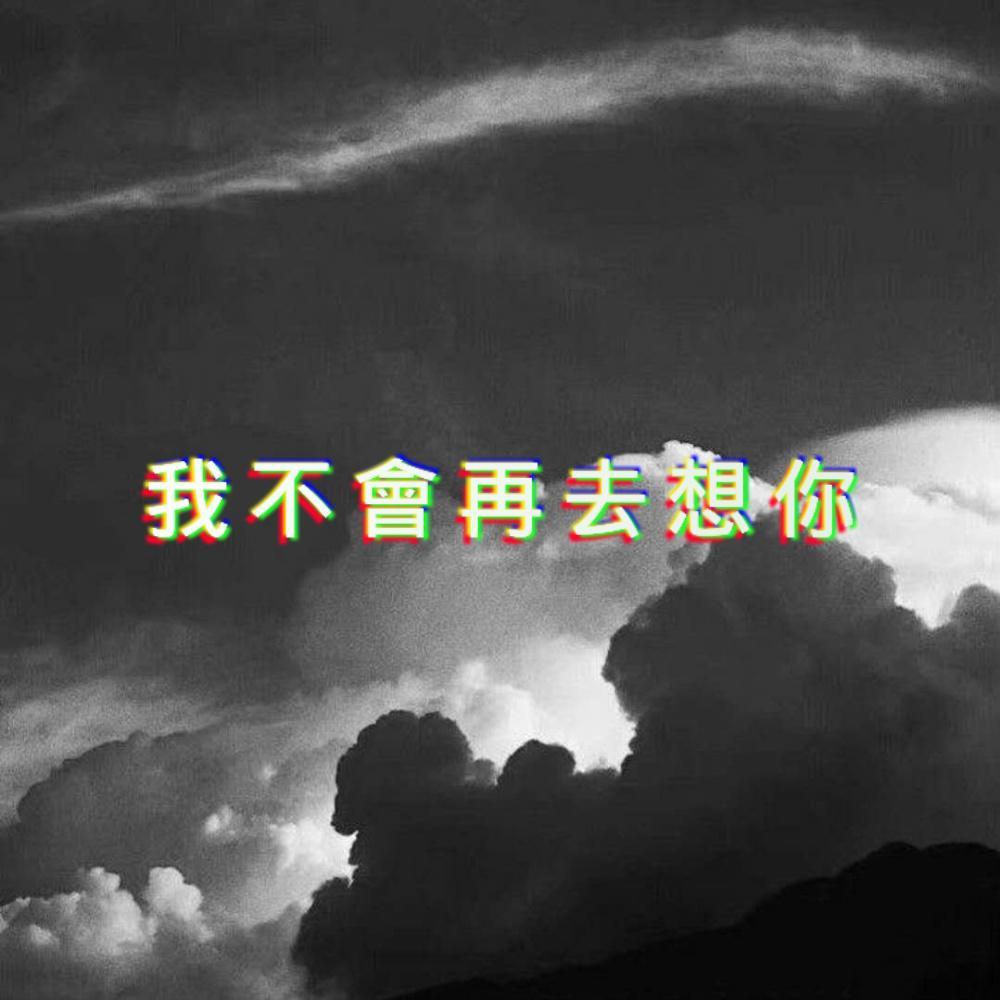 我不会再去想你