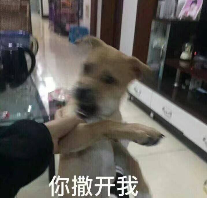 你撒开我专辑