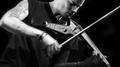 Lost Stars (Violin Cover)专辑