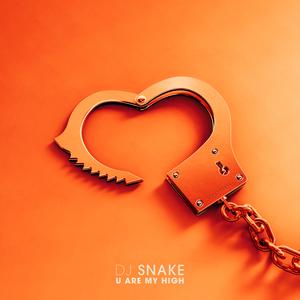 DJ Snake ft Future - You Are My High (Remix) (Instrumental) 原版无和声伴奏