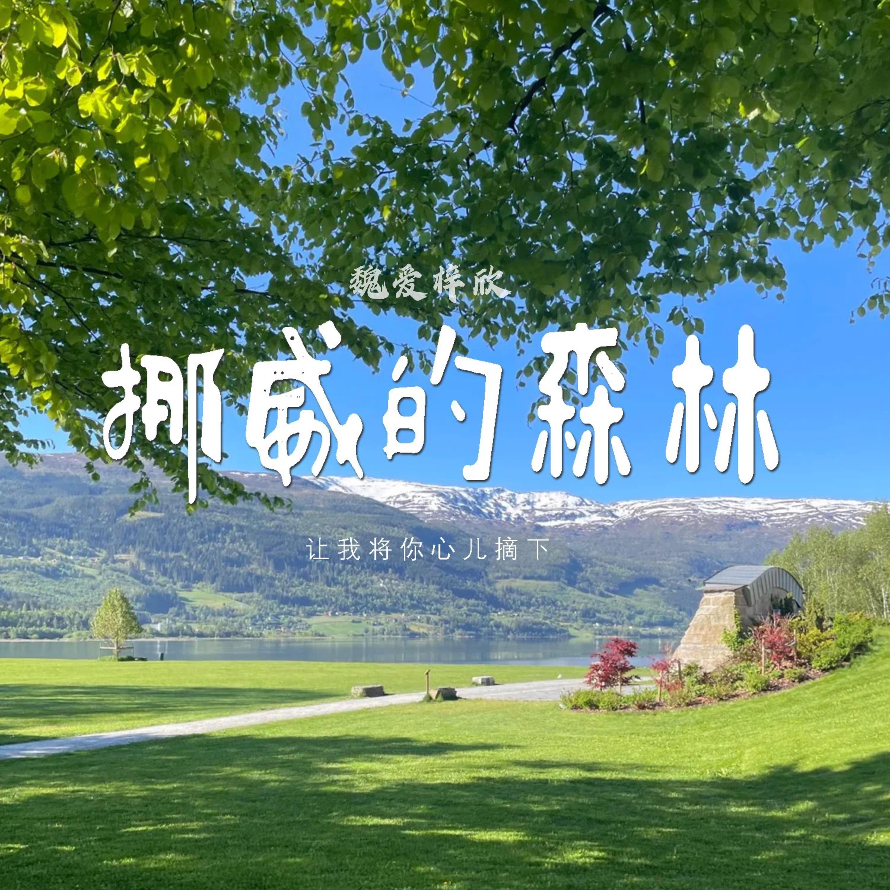 挪威的森林（你说真心总是可以从头）