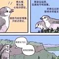 面点海