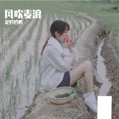 风吹麦浪