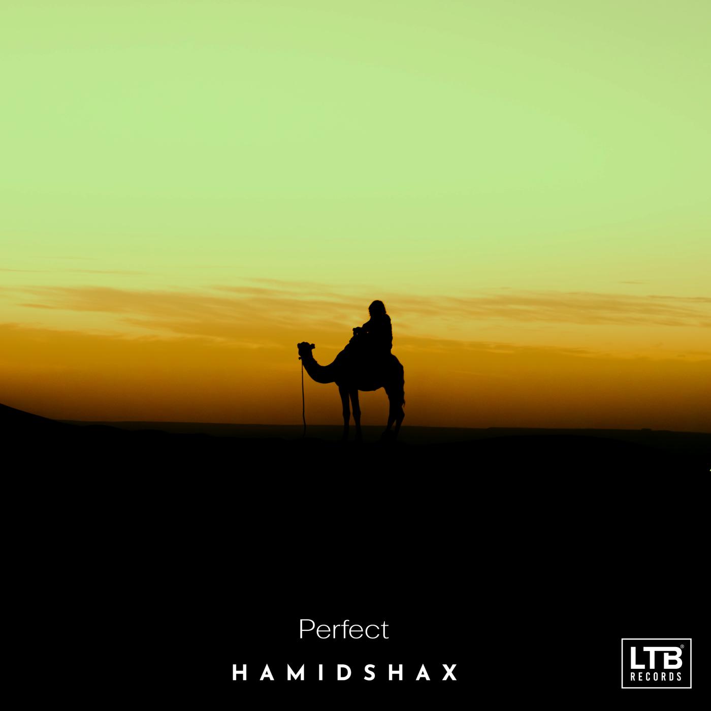  Hamidshax《Perfect》[FLAC/MP3-320K]
