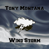 Tony Montana - Miracle