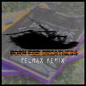 Born For Greatness (Felmax Remix)专辑
