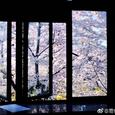 有你的快乐「黄其淋（林墨）」