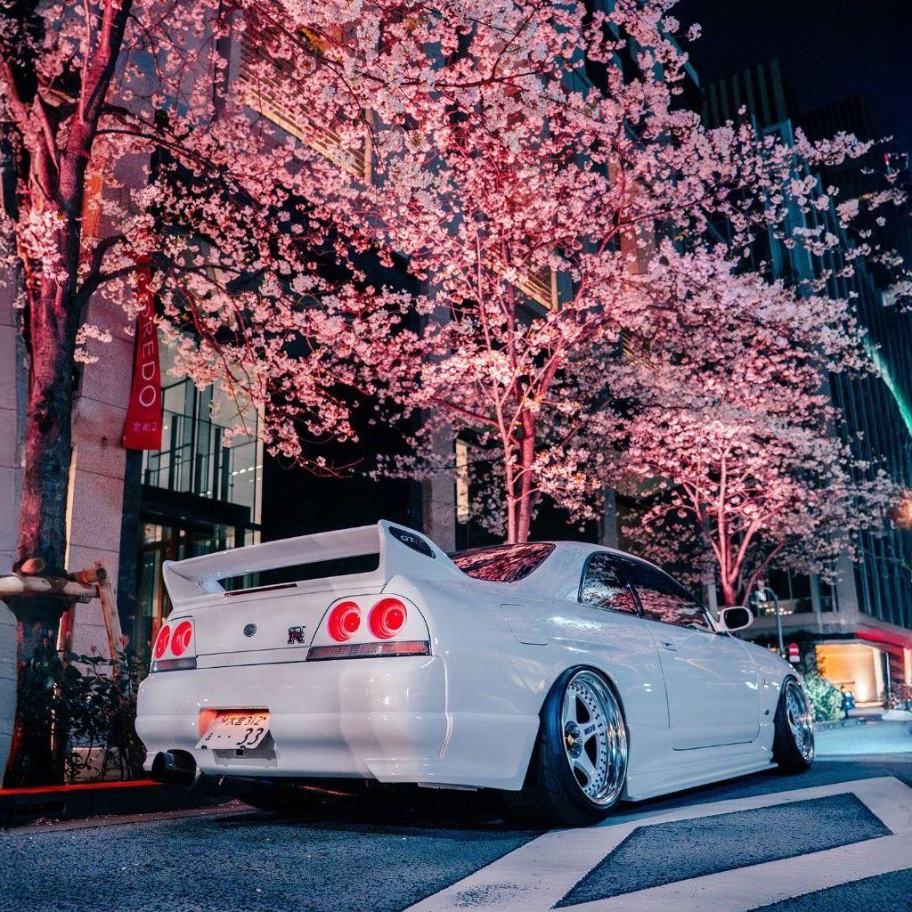 Eternal Sunshine Wave