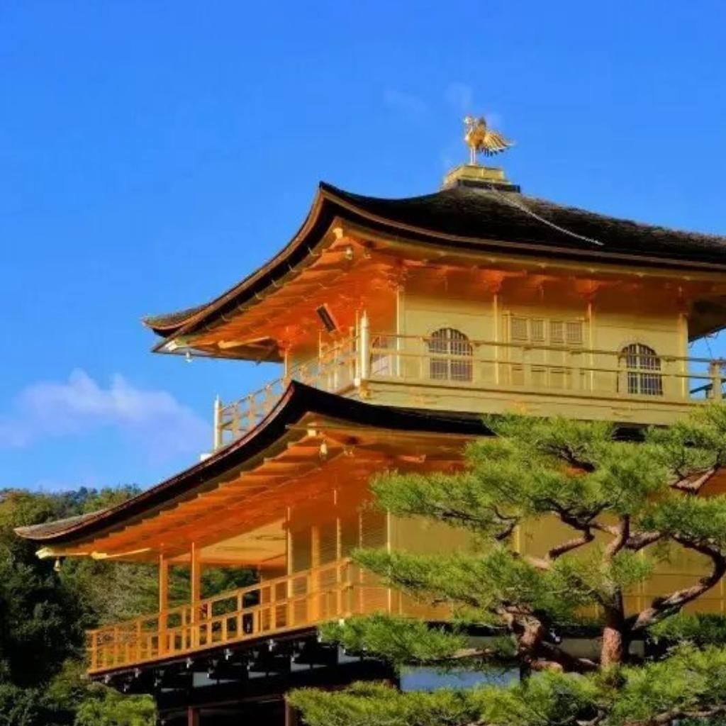 【和风】浮世音。尺八、三味线、日本筝…