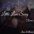 Little Love Song(Remix)