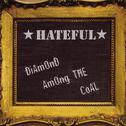 Diamond Among the Coal专辑