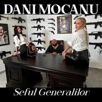 Dani Mocanu - Seful Generalilor (BB Instrumental) 无和声伴奏