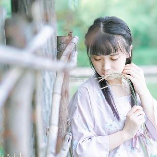 饭碗的抒情小调——心情记事簿