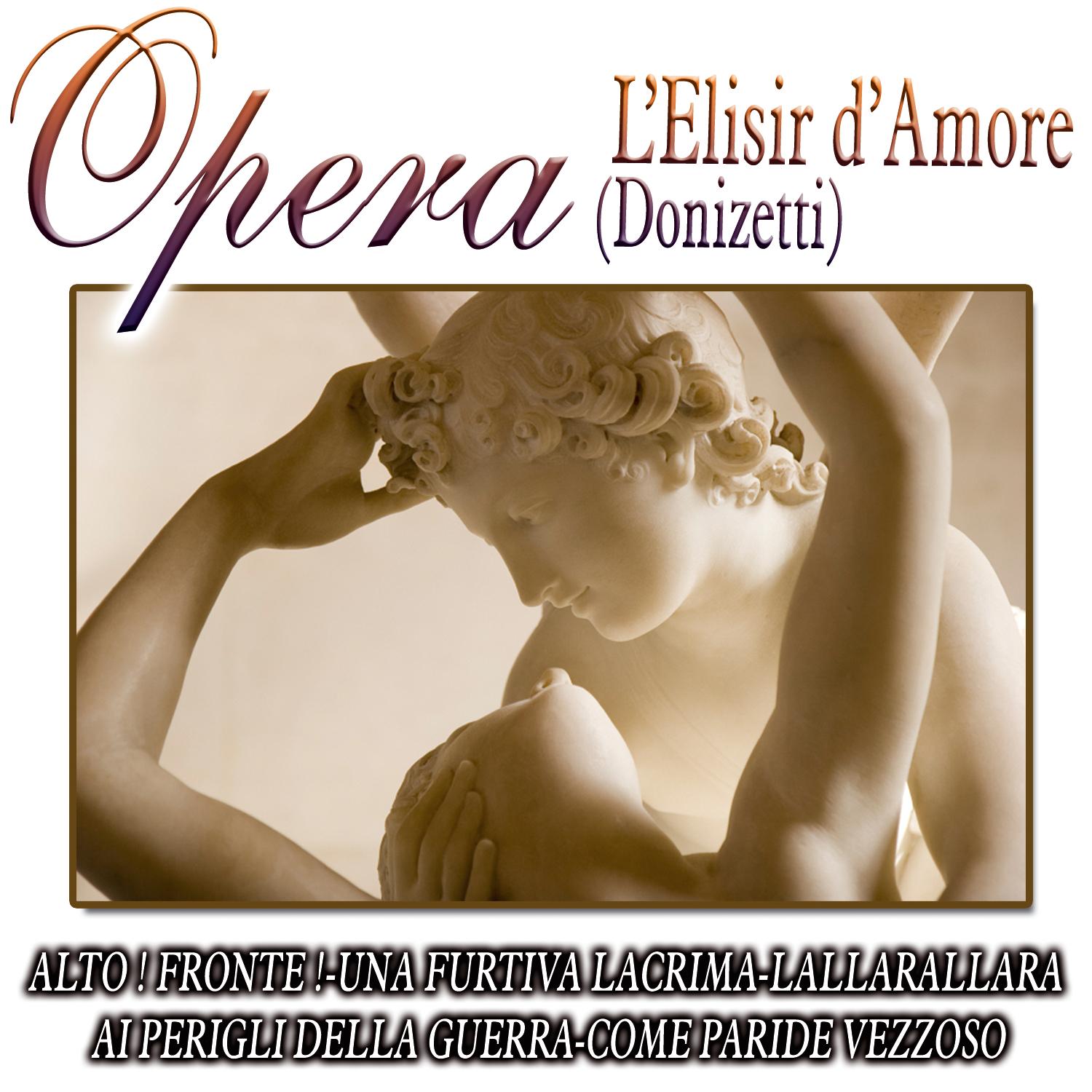 Opera - L'Elisir D'Amore